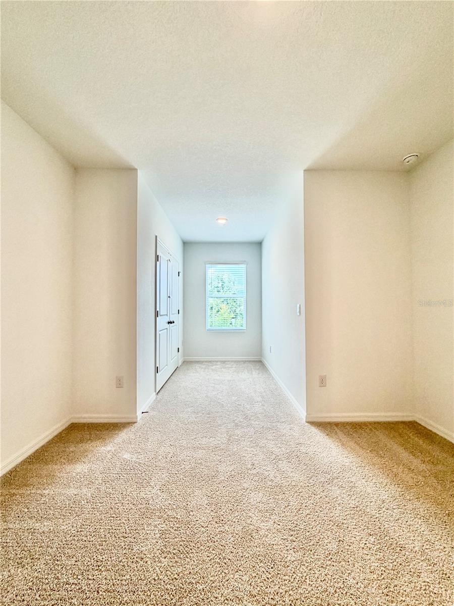 11407 VELVET APRICOT DR — photo 34