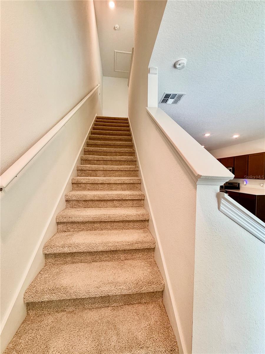 11407 VELVET APRICOT DR — photo 24