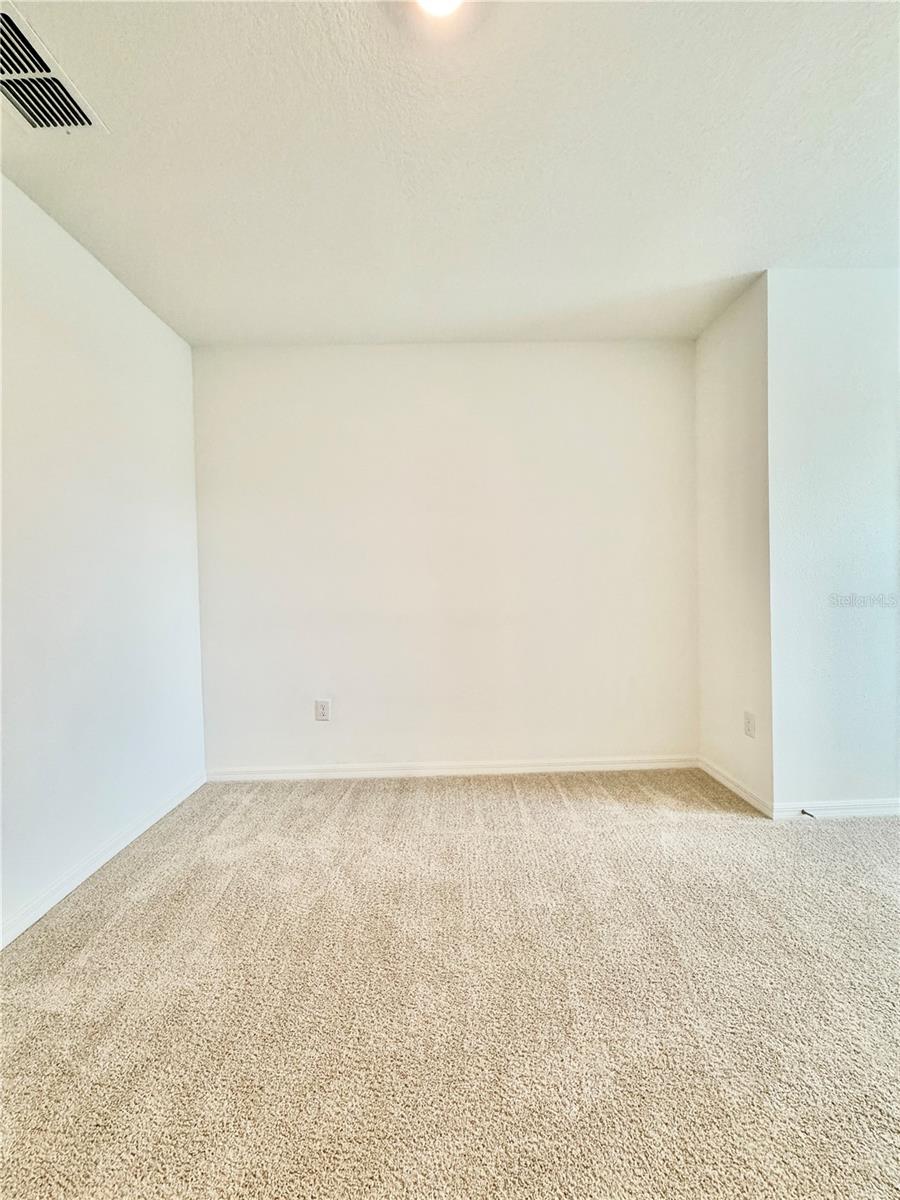 11407 VELVET APRICOT DR — photo 37