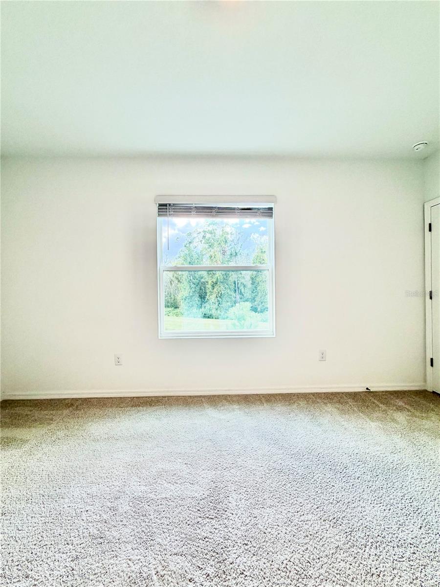 11407 VELVET APRICOT DR — photo 45