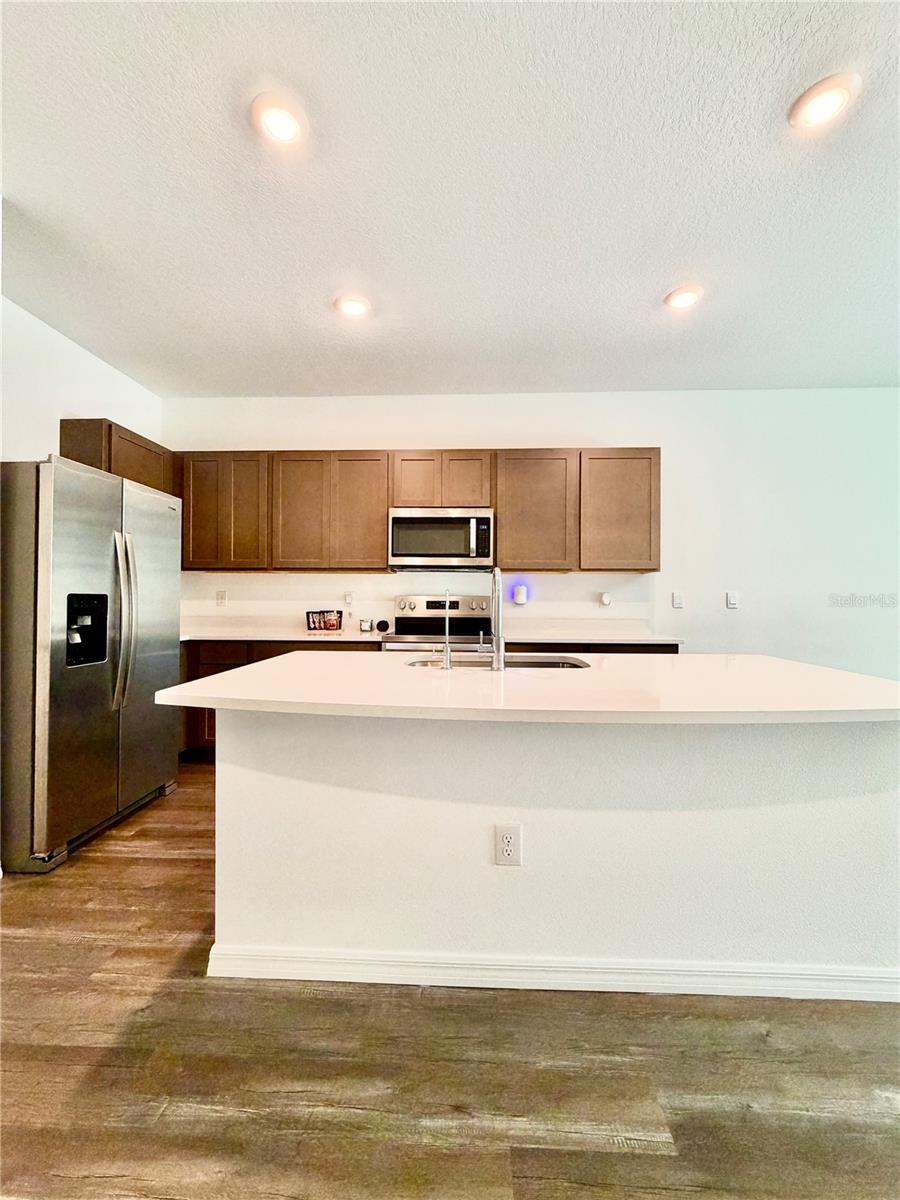 11407 VELVET APRICOT DR — photo 8