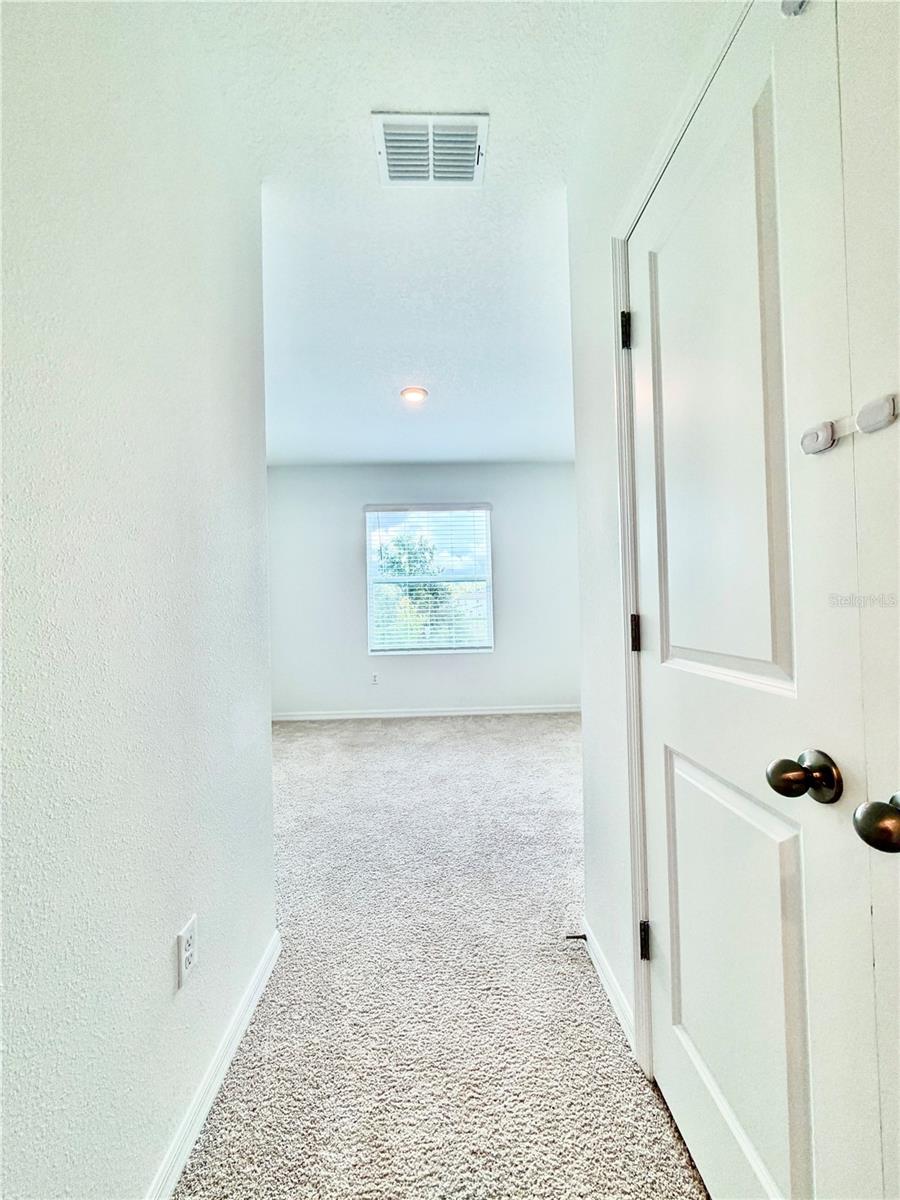 11407 VELVET APRICOT DR — photo 38
