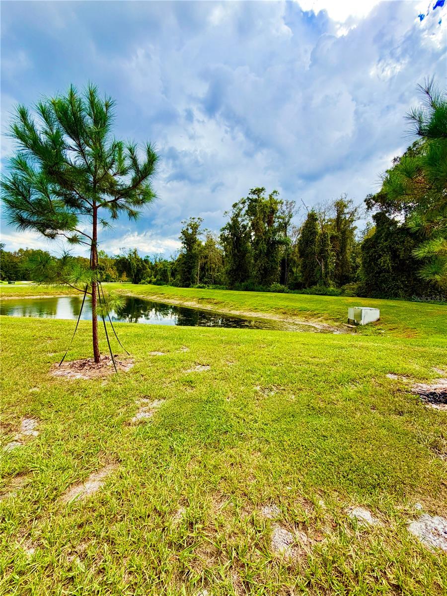 11407 VELVET APRICOT DR — photo 50