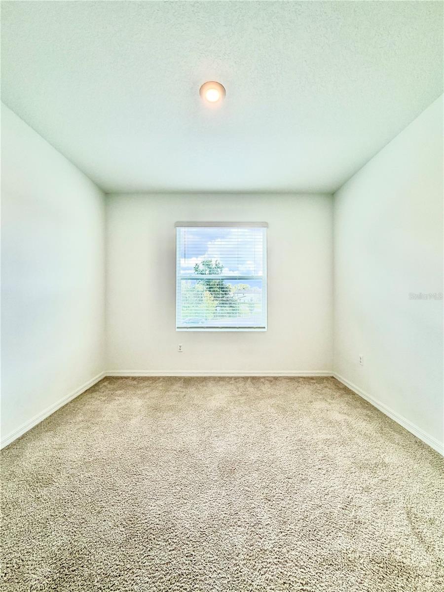 11407 VELVET APRICOT DR — photo 41