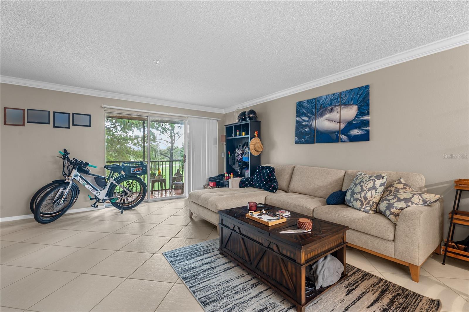 2400 FEATHER SOUND DR #425 — photo 15