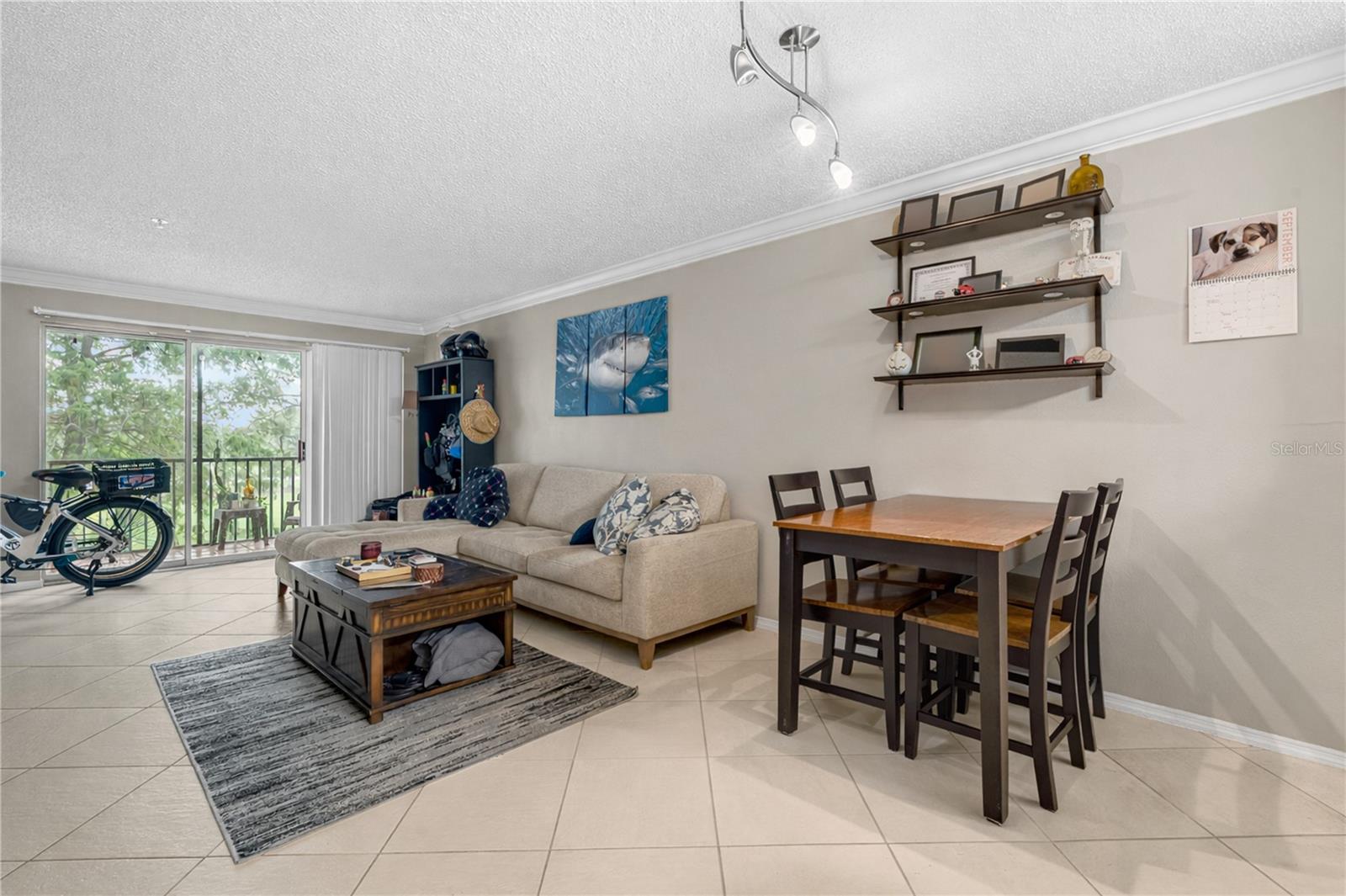 2400 FEATHER SOUND DR #425 — photo 13