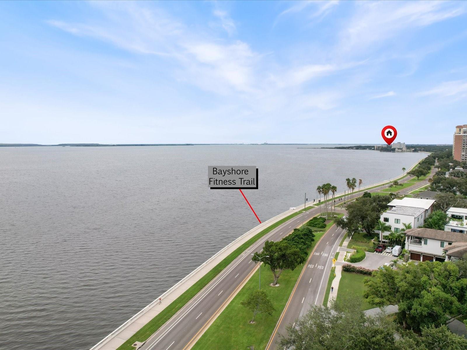4950 BAYSHORE BLVD #28 — photo 4