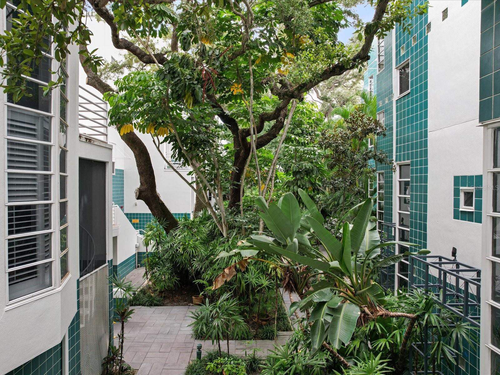 4950 BAYSHORE BLVD #28 — photo 37