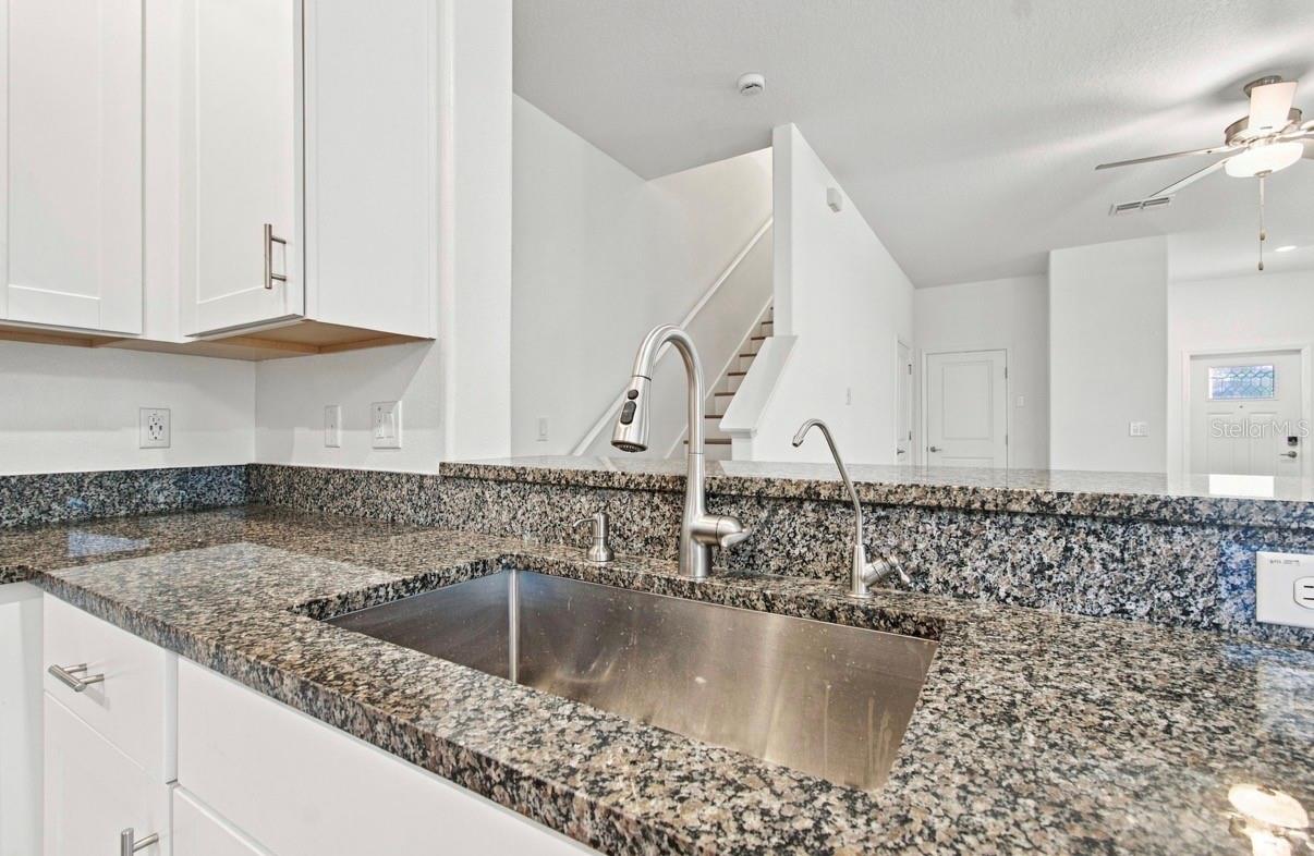 32041 POWDERPUFF MIMOSA DR — photo 11