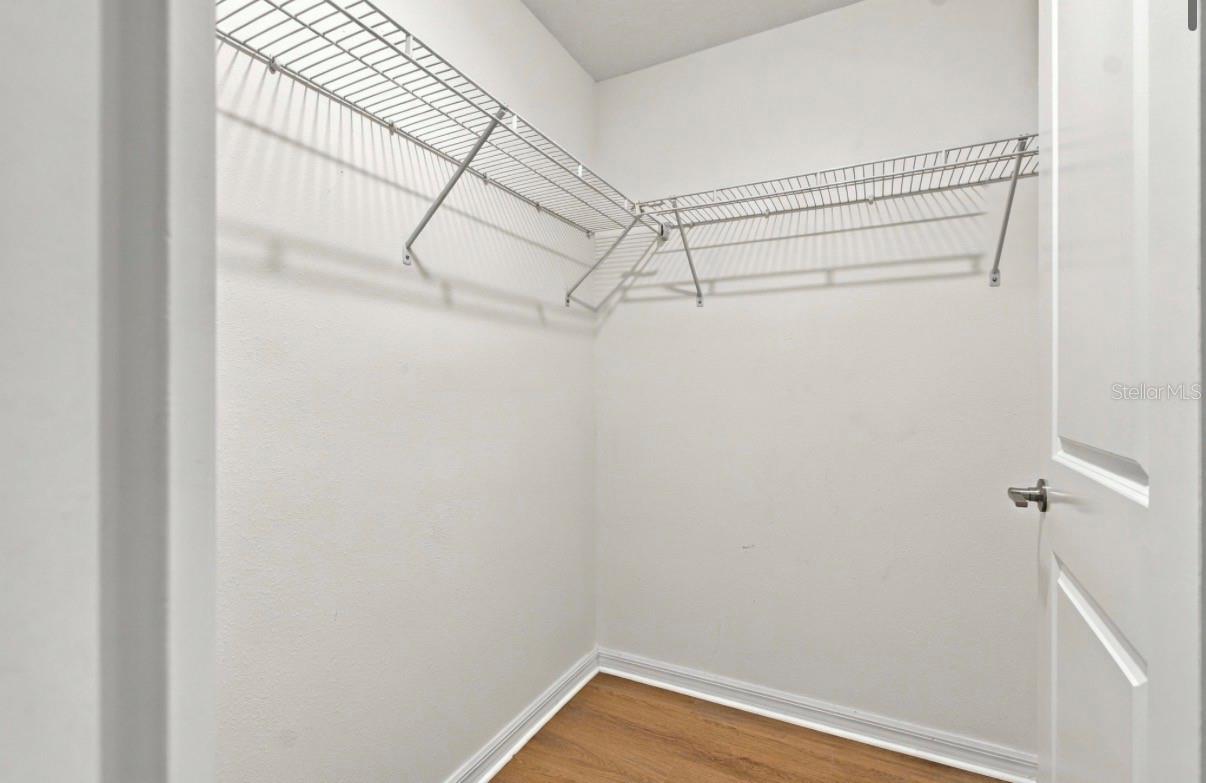 32041 POWDERPUFF MIMOSA DR — photo 24