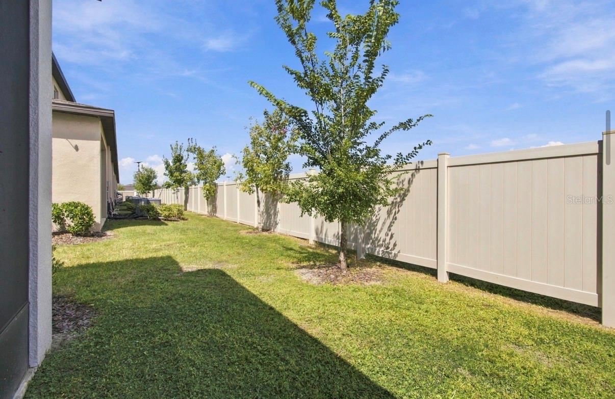 32041 POWDERPUFF MIMOSA DR — photo 36
