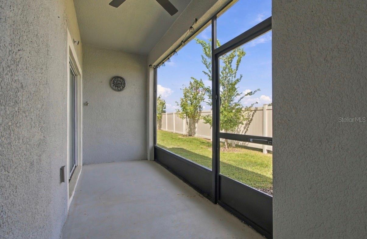 32041 POWDERPUFF MIMOSA DR — photo 35