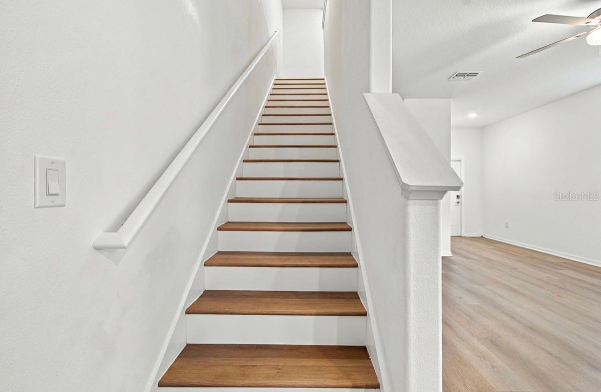 32041 POWDERPUFF MIMOSA DR — photo 21