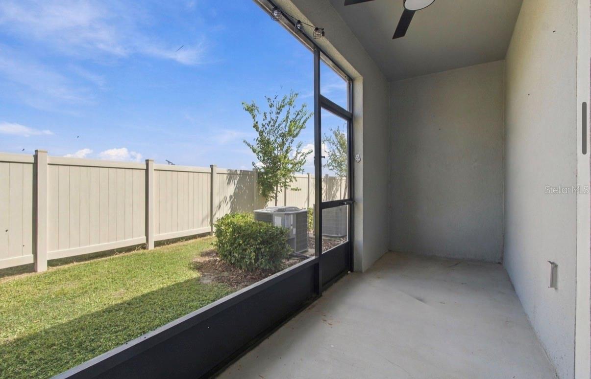 32041 POWDERPUFF MIMOSA DR — photo 34