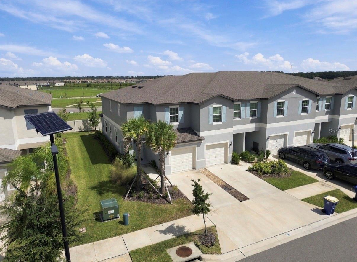 32041 POWDERPUFF MIMOSA DR — photo 41