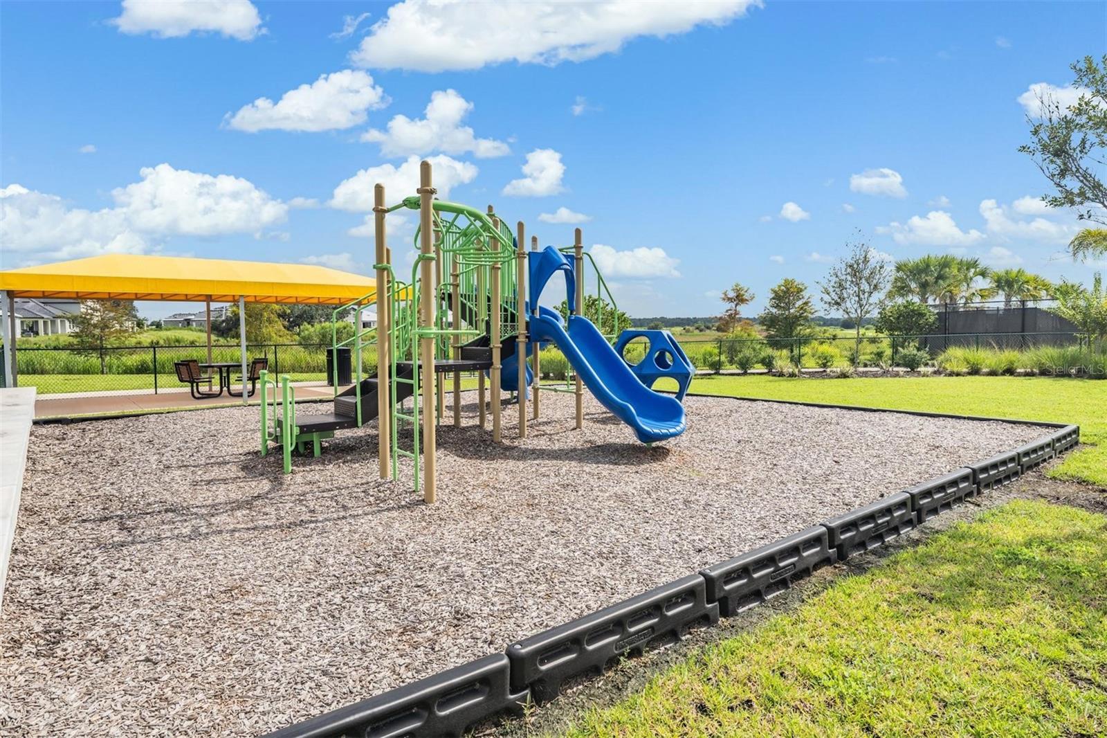 31826 CABANA RYE AVE — photo 62