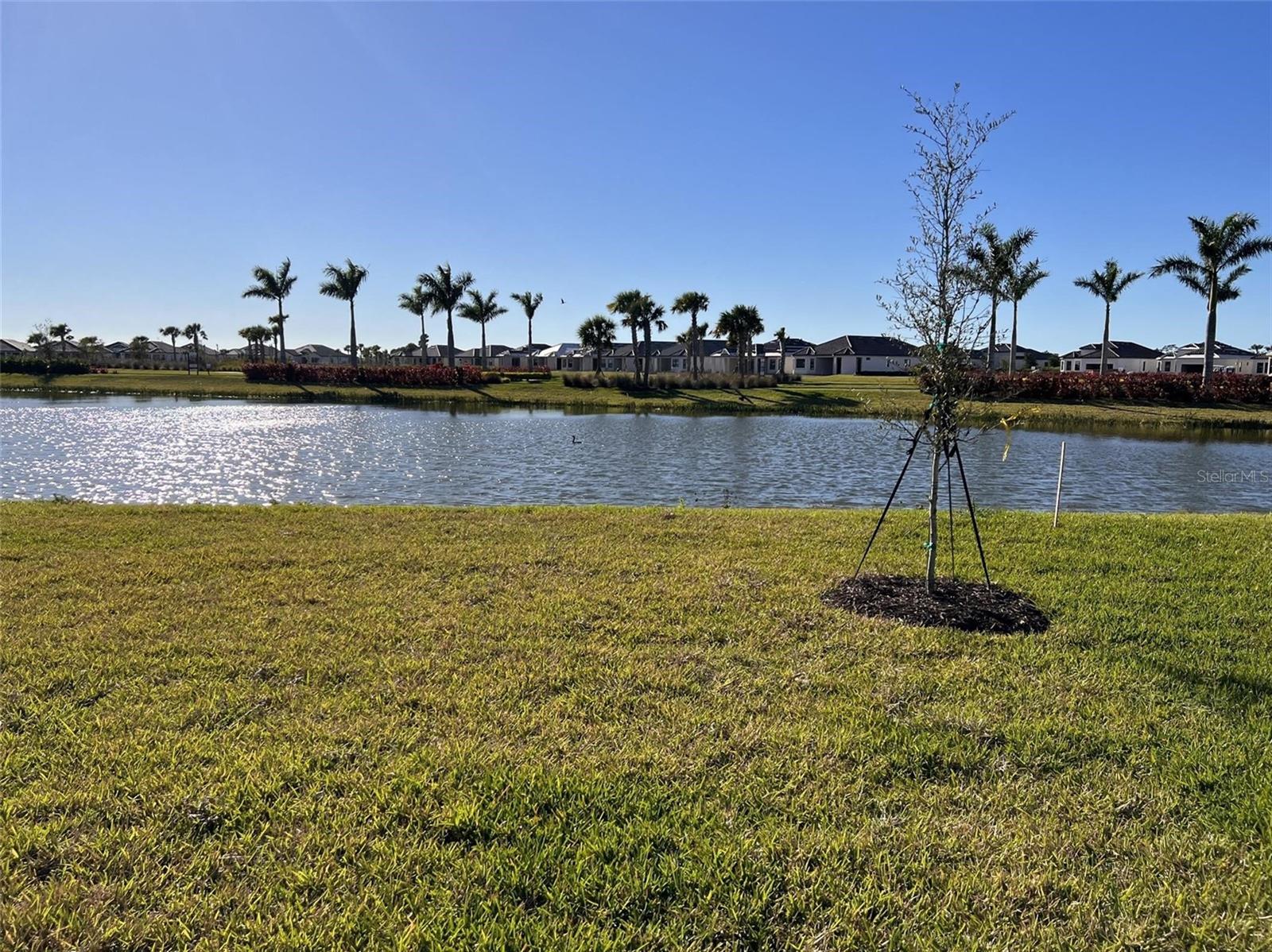 10125 MILKY WAY CIR — photo 21