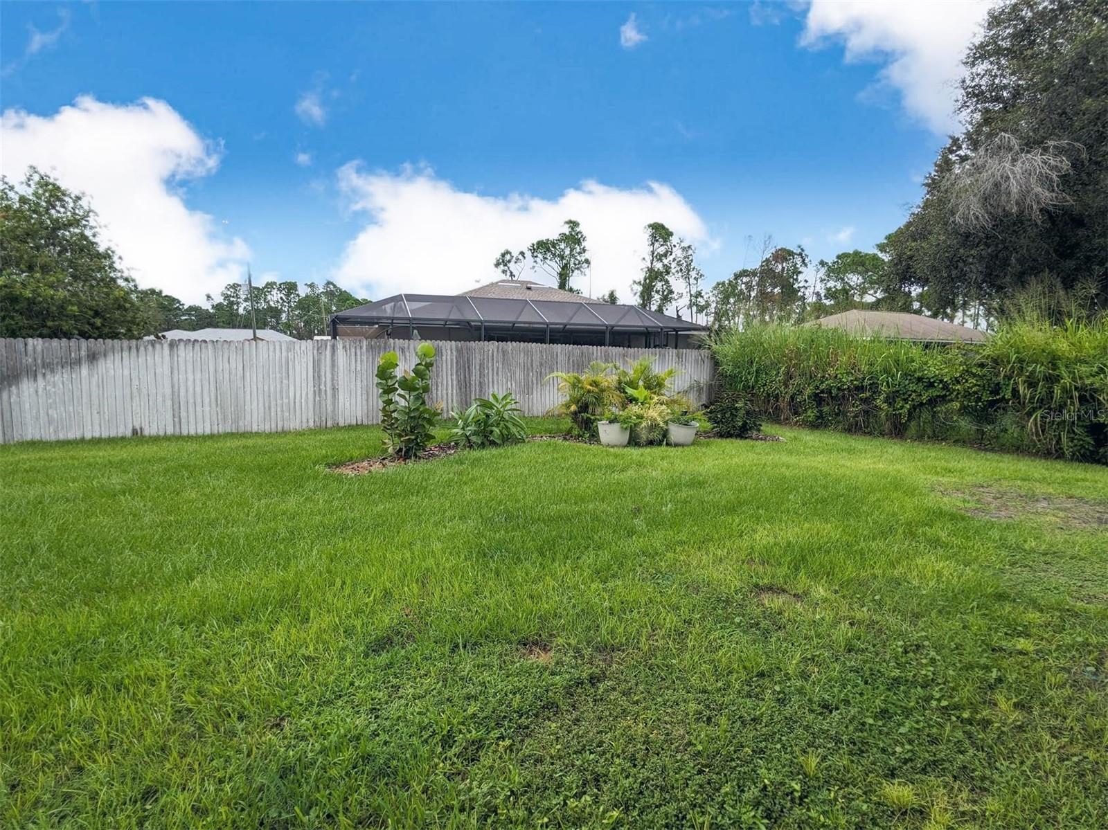 7295 MINARDI ST — photo 32