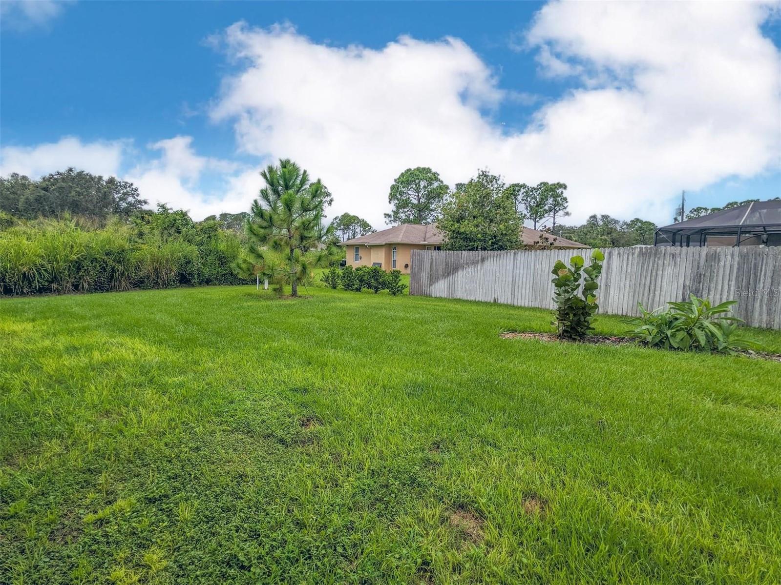 7295 MINARDI ST — photo 33