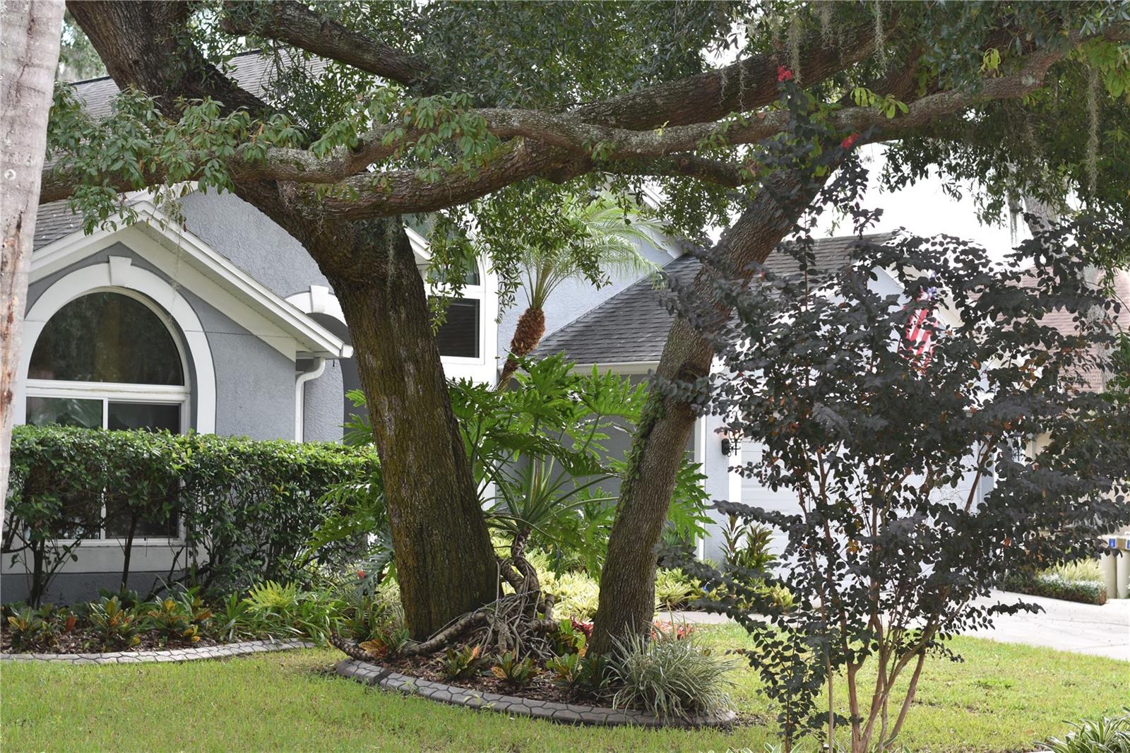 4605 OAK RIVER CIR — photo 4