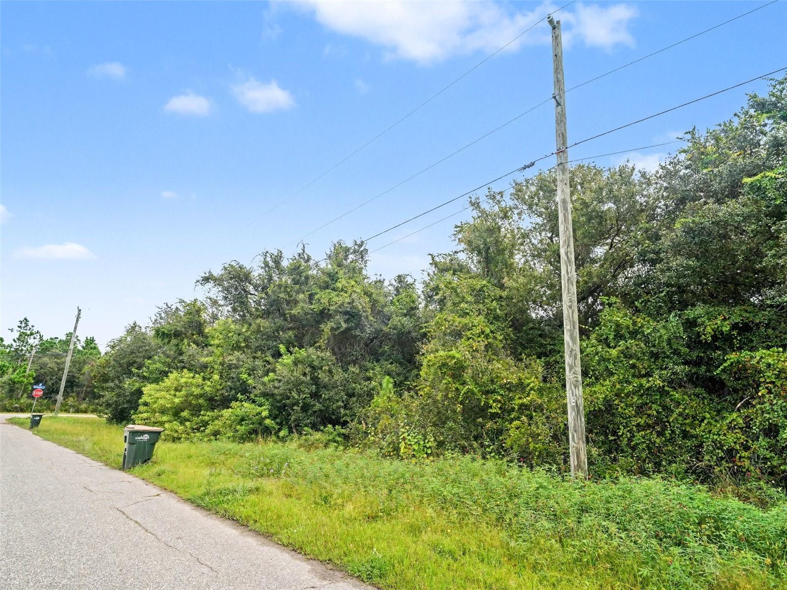HORNBUCKLE BLVD — photo 4