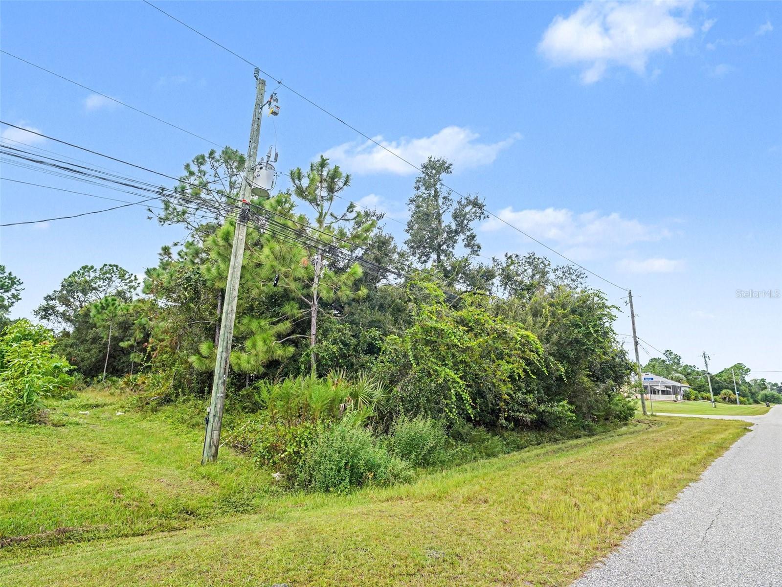 HORNBUCKLE BLVD — photo 5