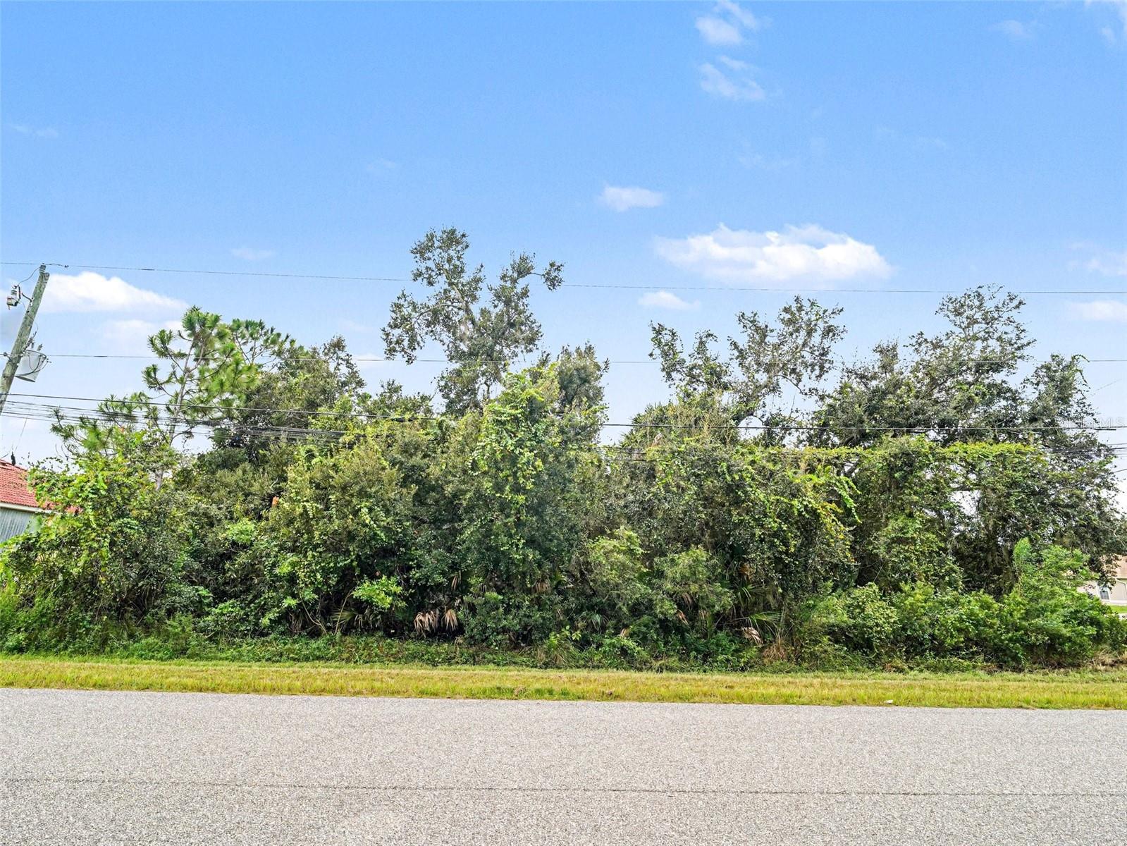 HORNBUCKLE BLVD — photo 3
