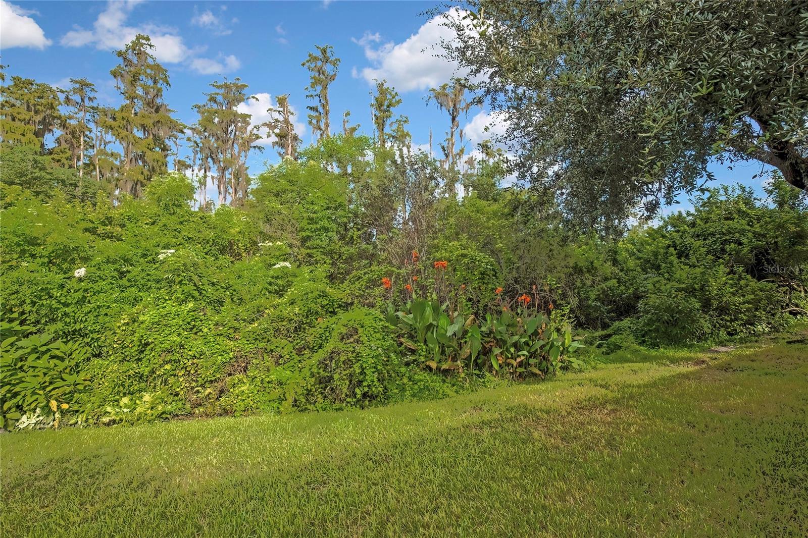 2815 TORRANCE DR — photo 35