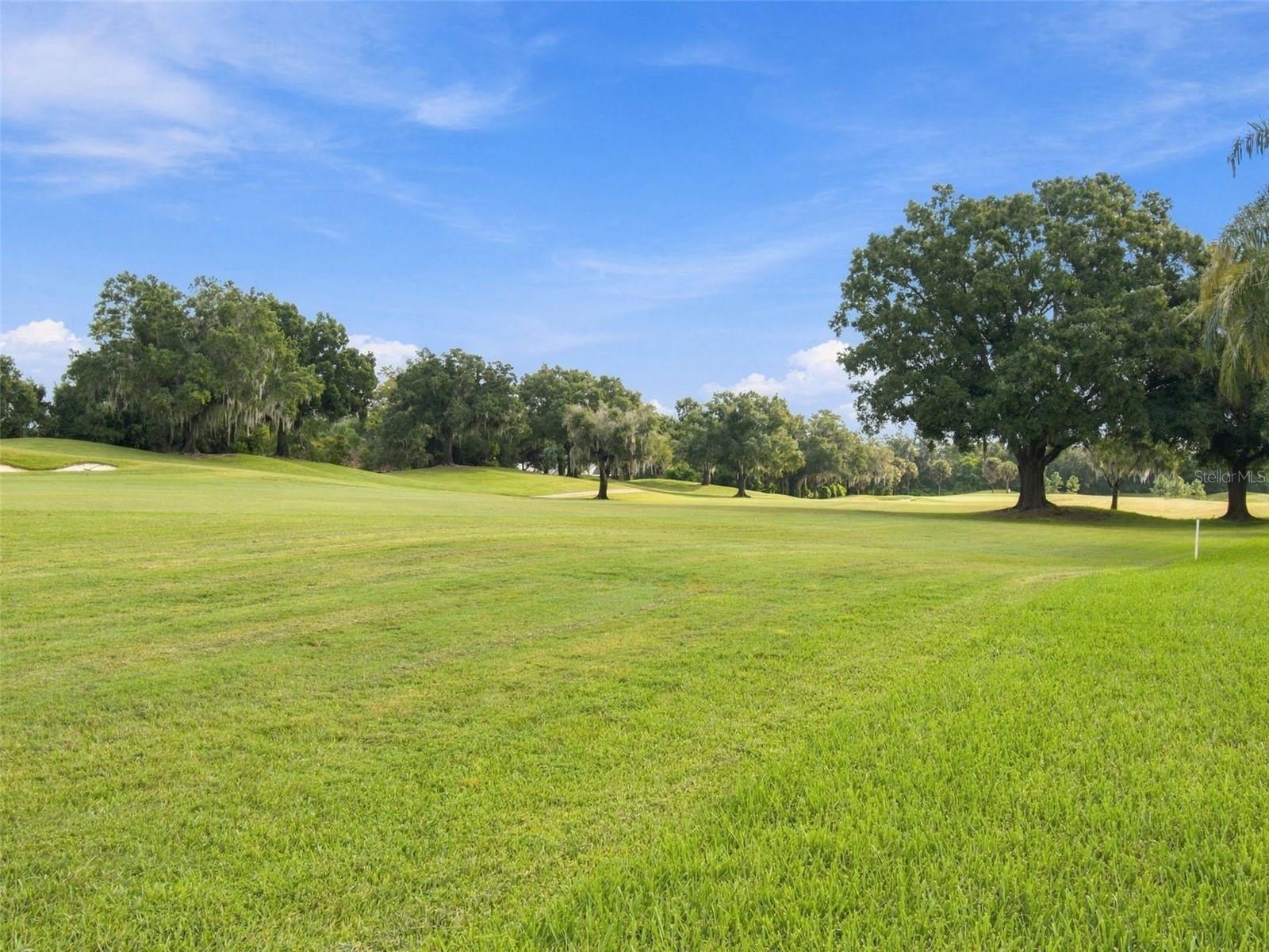 30311 FAIRWAY DR — photo 79