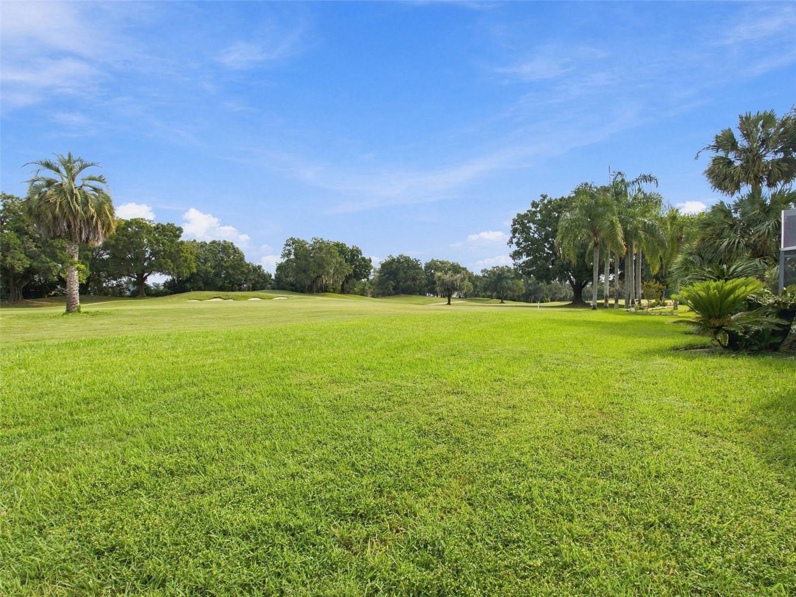 30311 FAIRWAY DR — photo 74