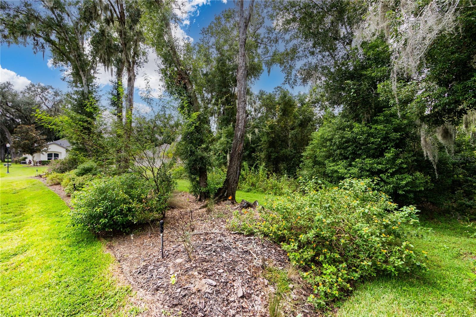 13303 TRAILING MOSS DR — photo 86