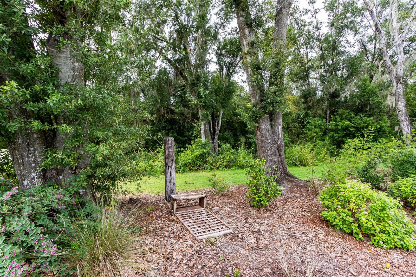 13303 TRAILING MOSS DR — photo 73