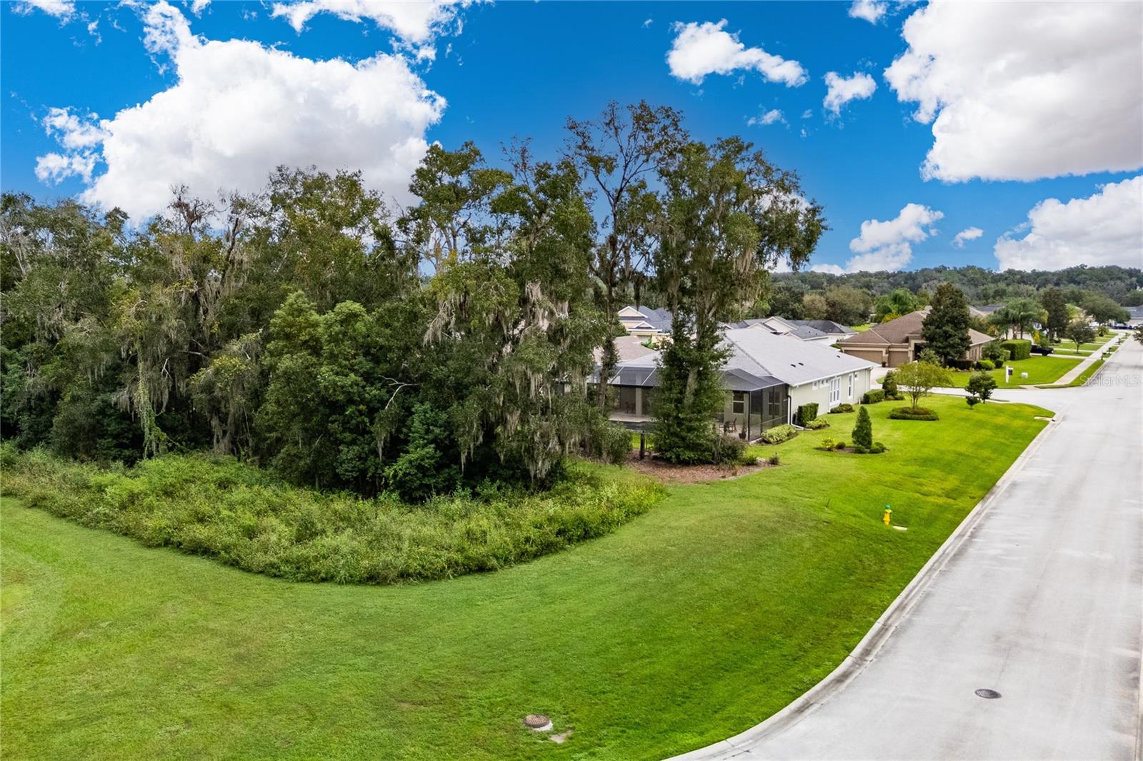 13303 TRAILING MOSS DR — photo 66