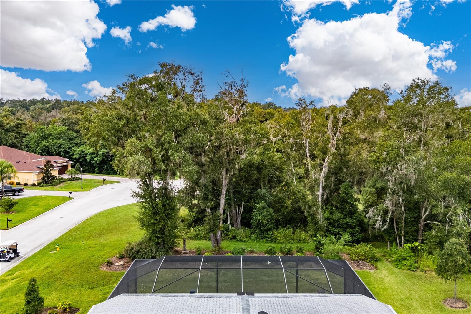 13303 TRAILING MOSS DR — photo 63