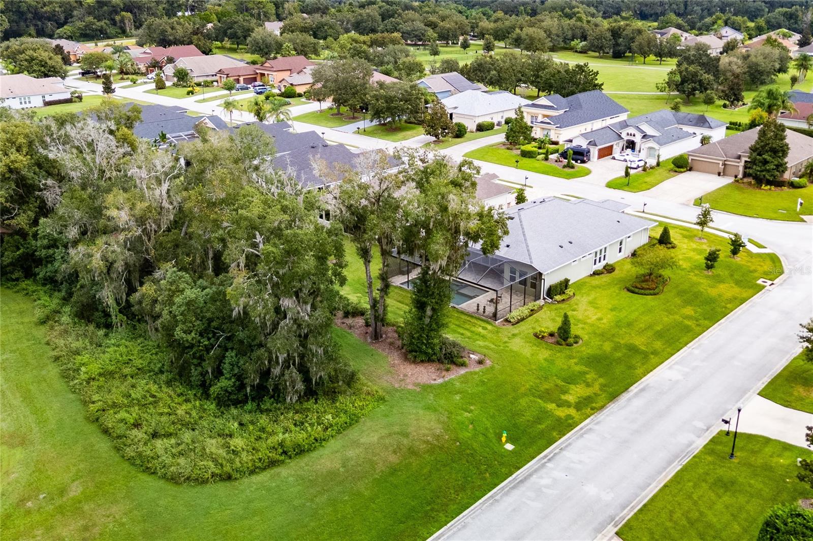 13303 TRAILING MOSS DR — photo 80