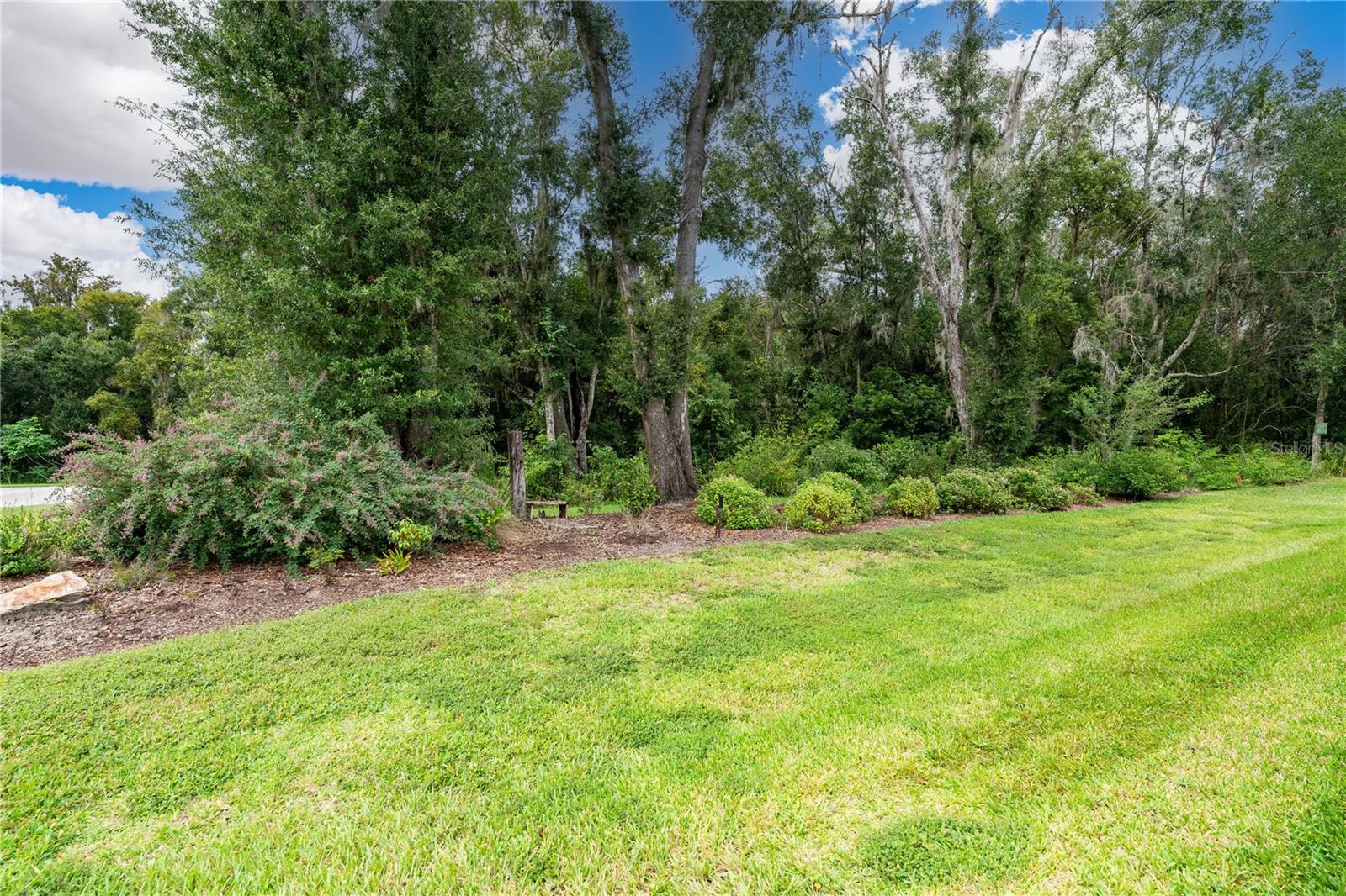 13303 TRAILING MOSS DR — photo 10