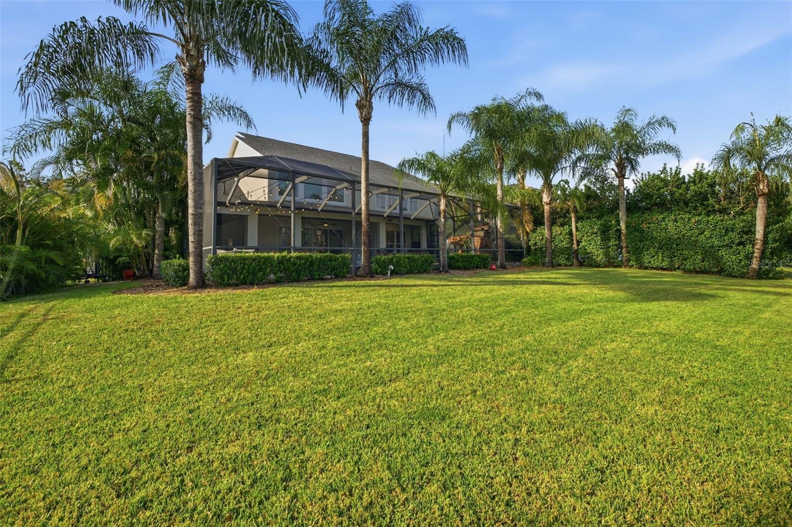 14637 CANOPY DR — photo 40