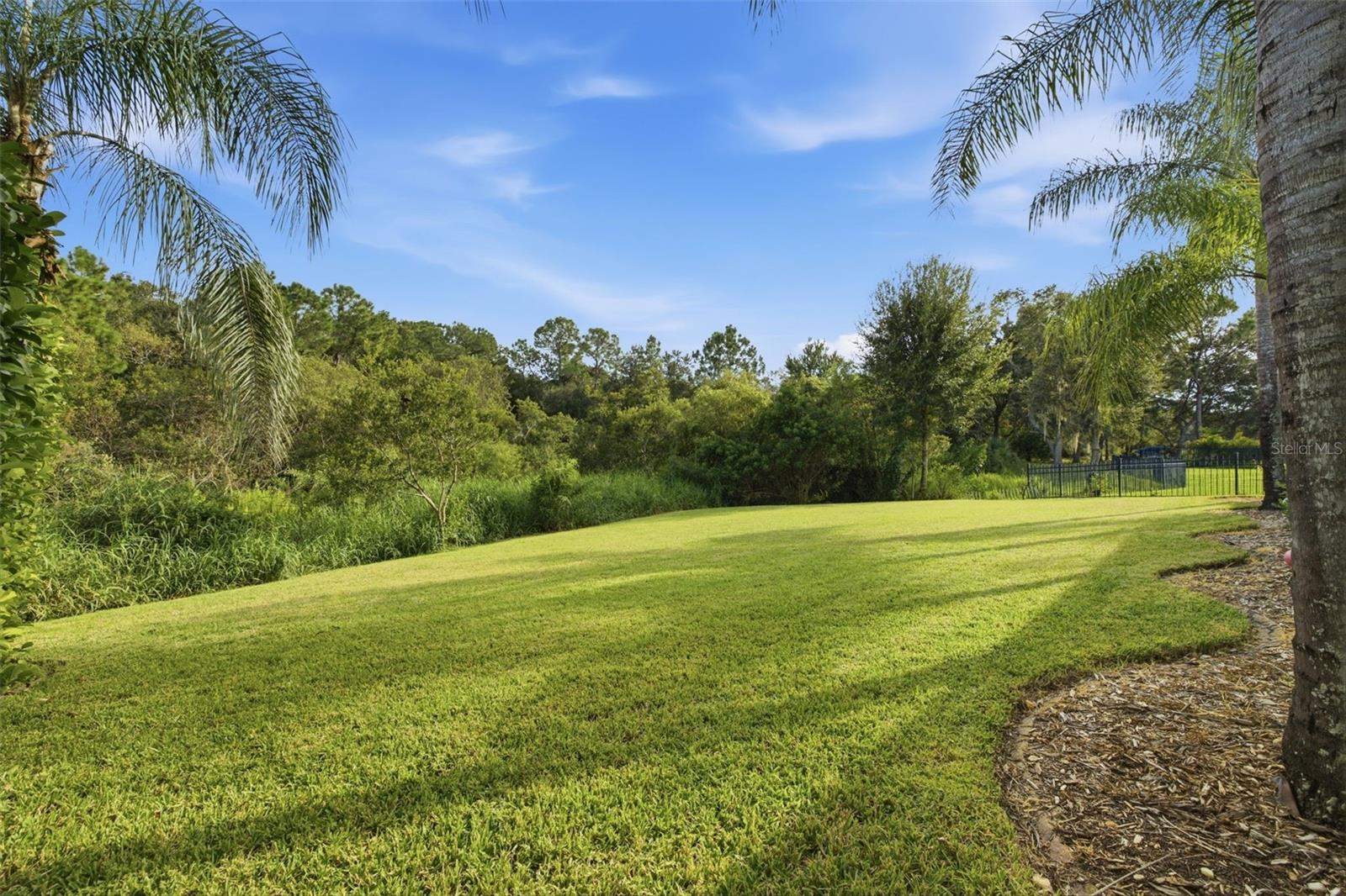 14637 CANOPY DR — photo 41