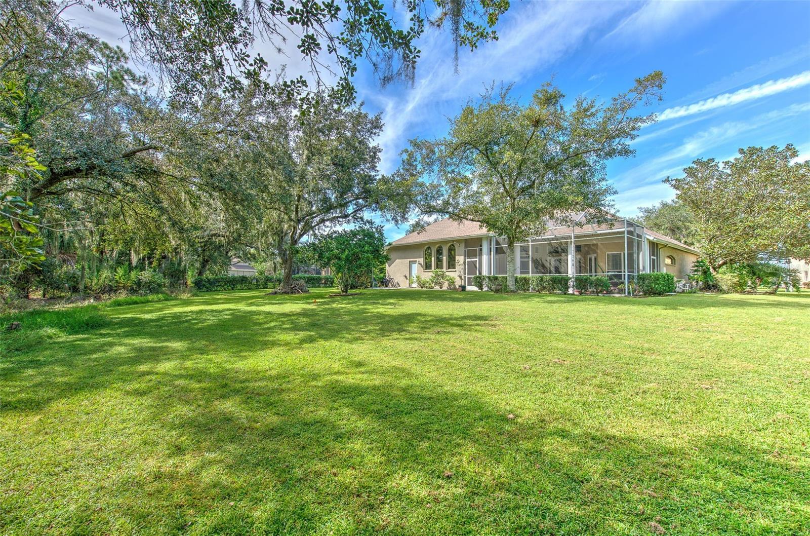 3325 CYPRESS LANDING DR — photo 79