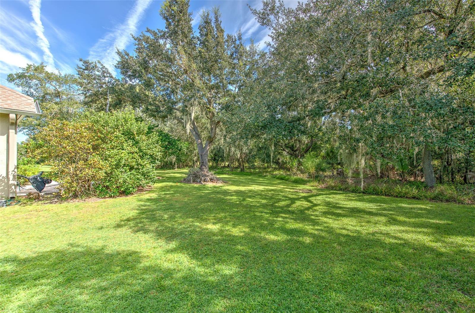 3325 CYPRESS LANDING DR — photo 82