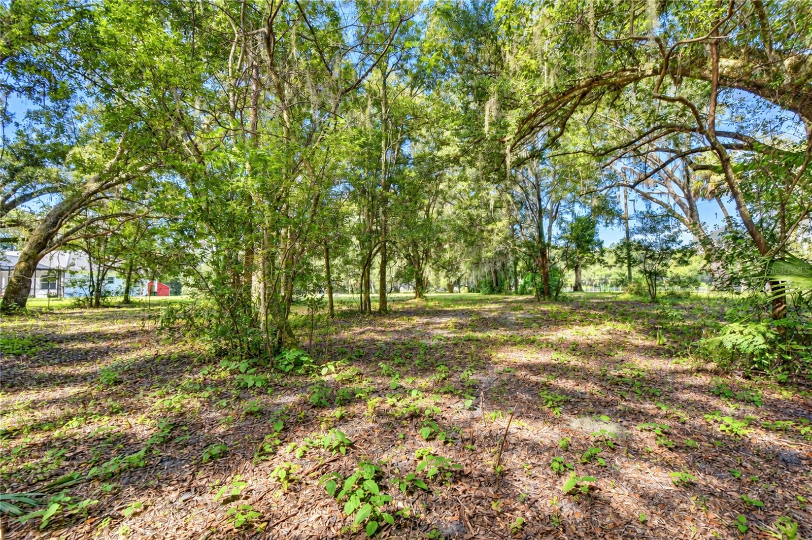 5746 FRONTIER DR — photo 54