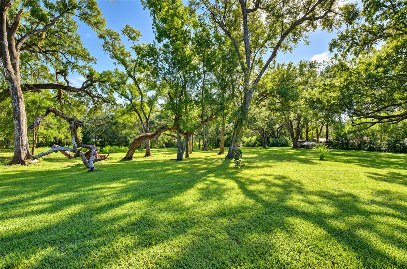 5746 FRONTIER DR — photo 47