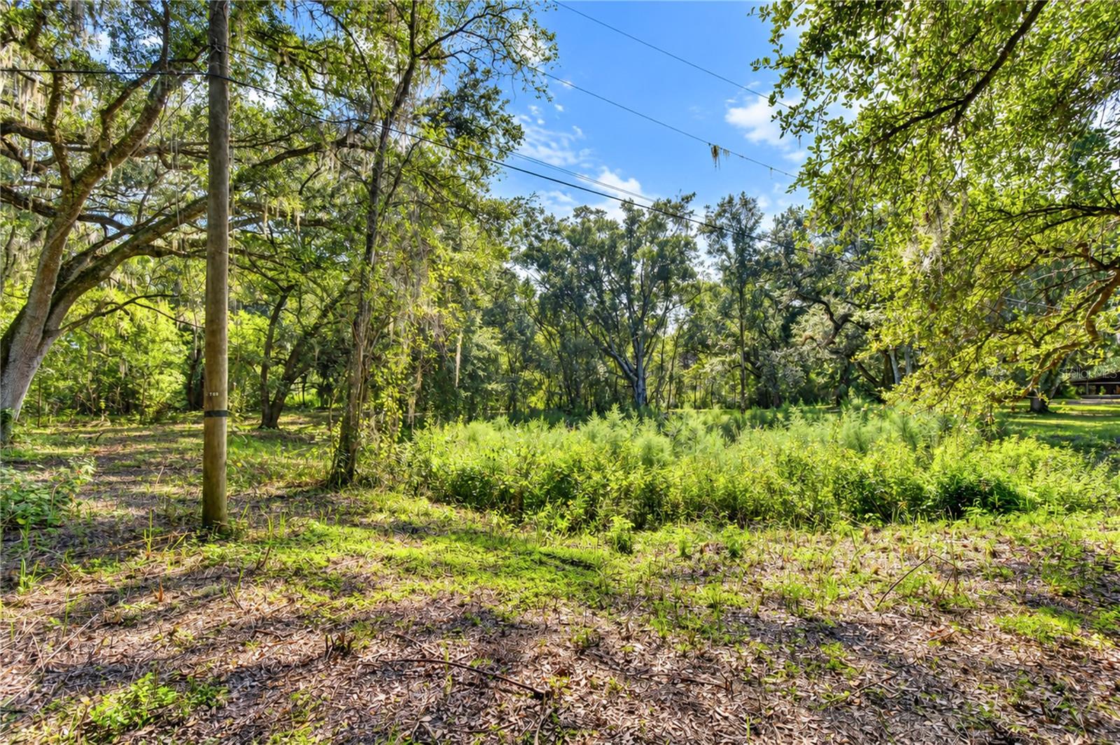 5746 FRONTIER DR — photo 53