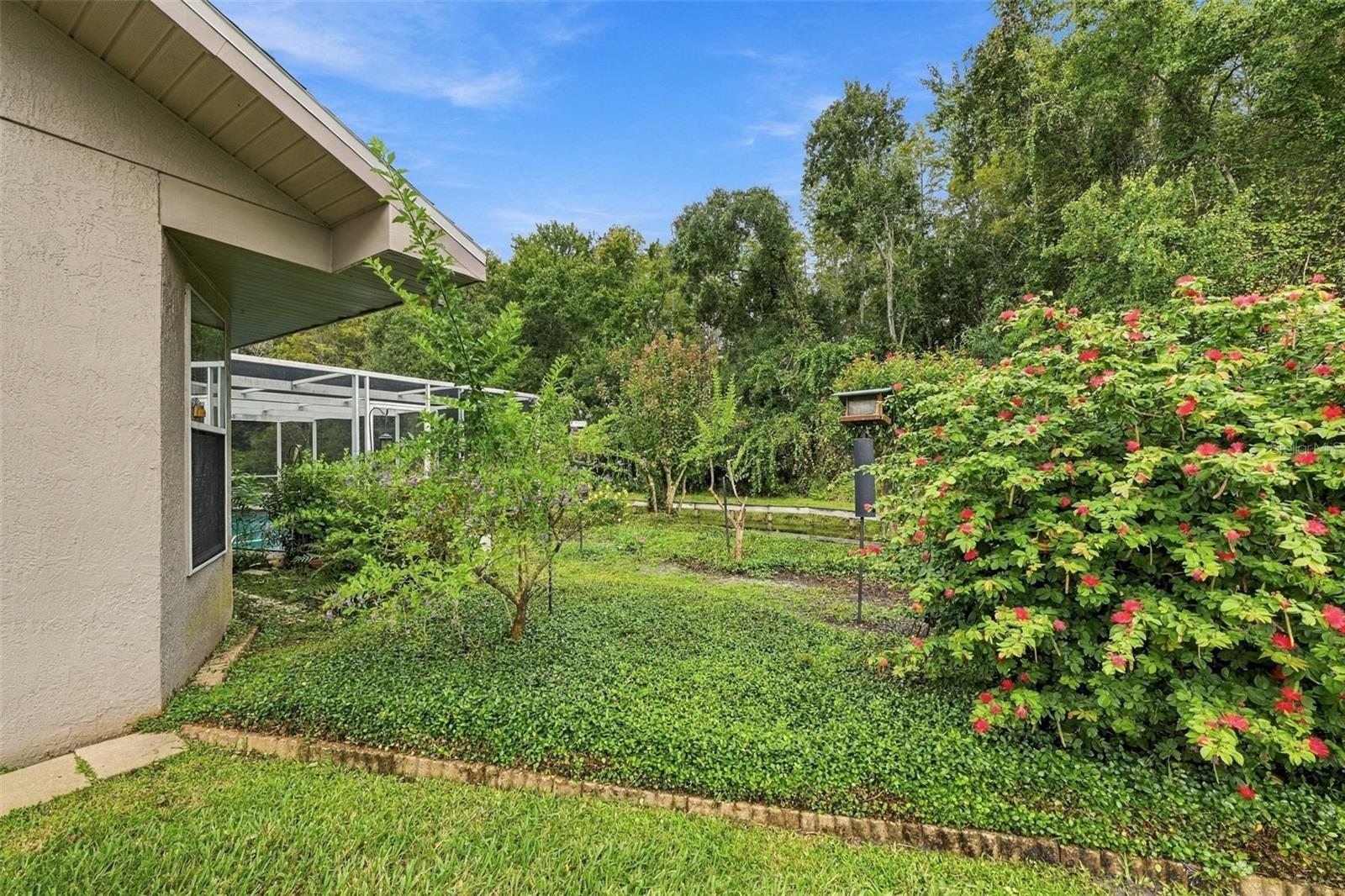8657 CYPRESS LAKES BLVD — photo 26