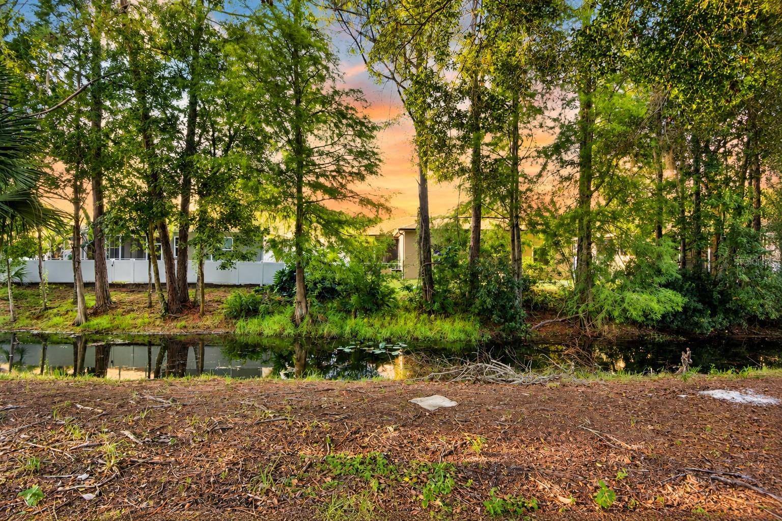 7207 OTTER CREEK DR — photo 4