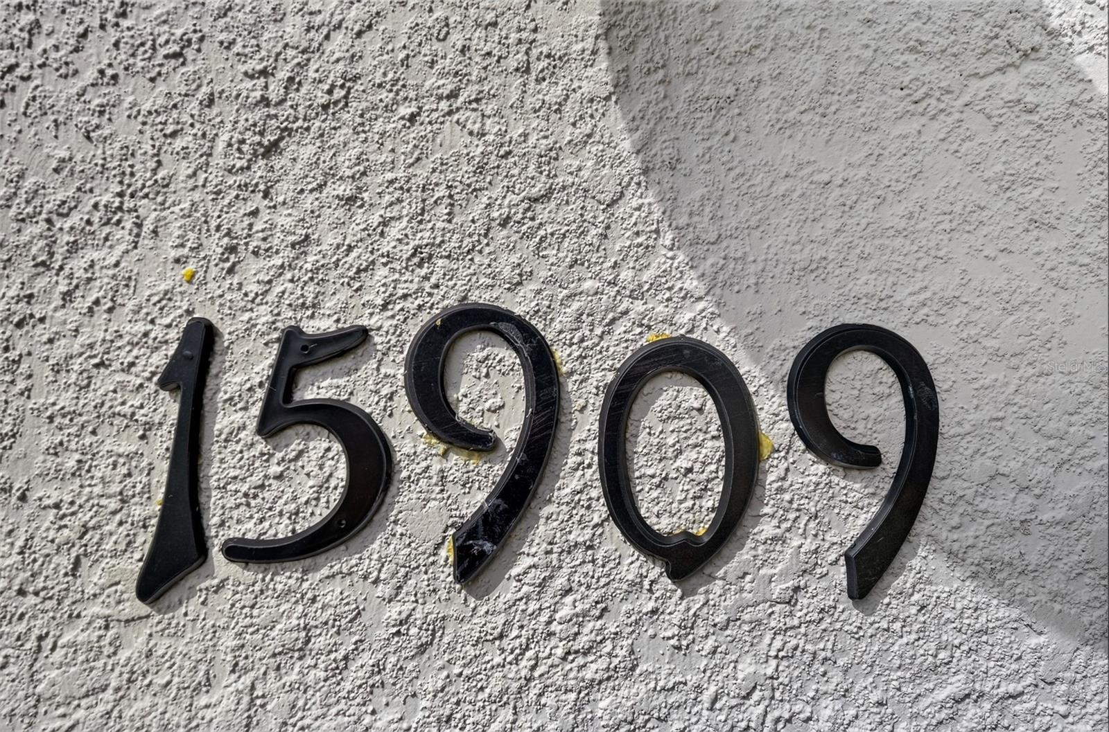 15909 CLEAR SKIES PL — photo 5