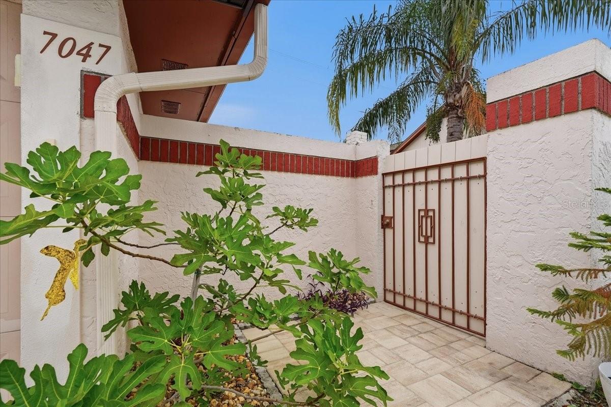 7047 SILVERMILL DR — photo 4