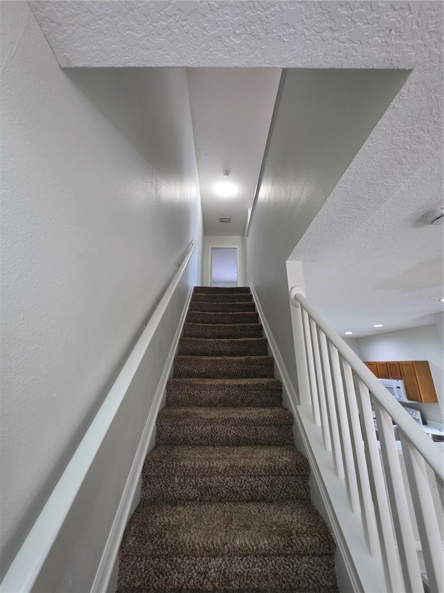 6731 LAKE ROCHESTER LN — photo 13