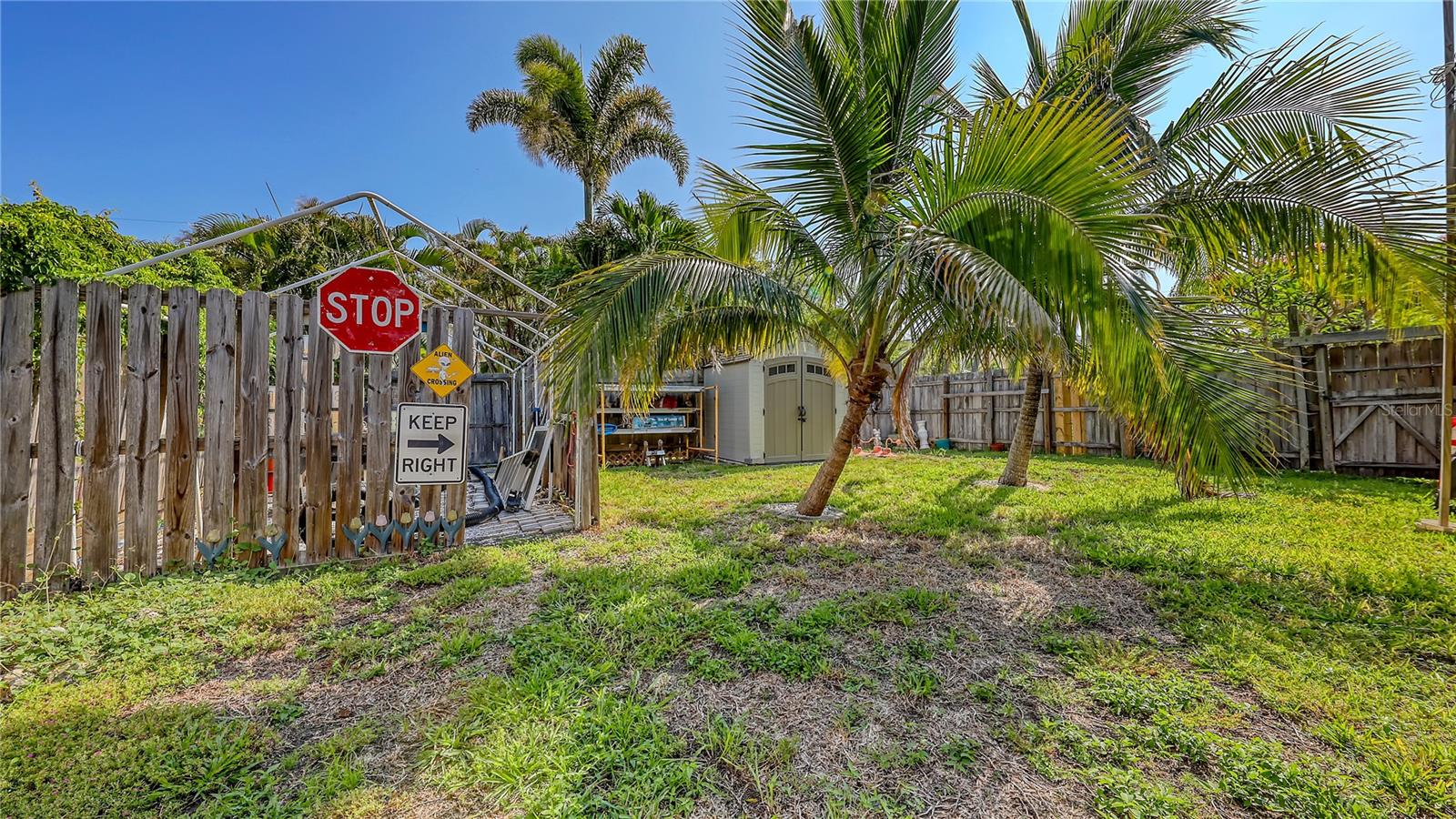 5302 LAS ROSAS — photo 7