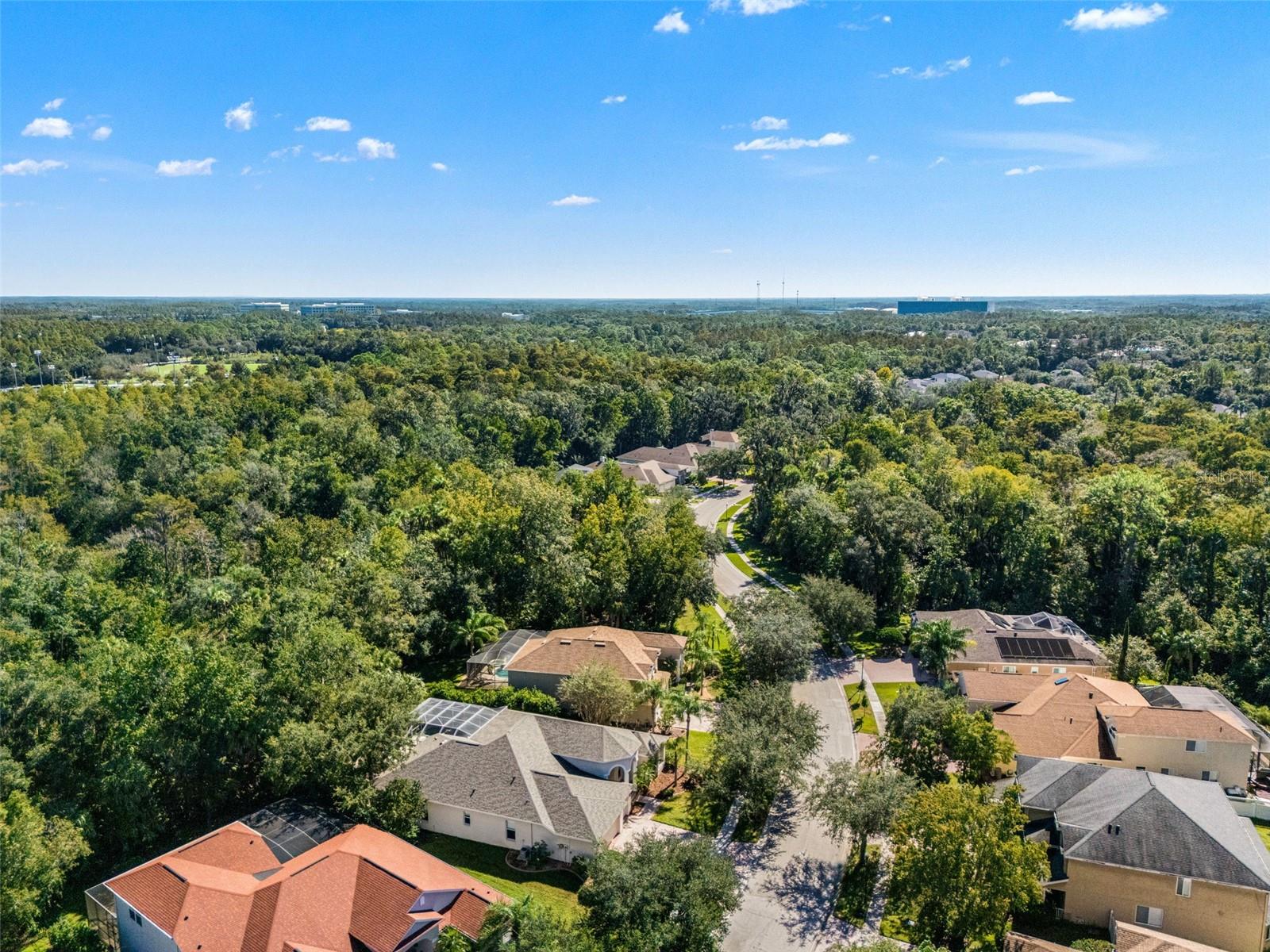 17353 EMERALD CHASE DR — photo 61